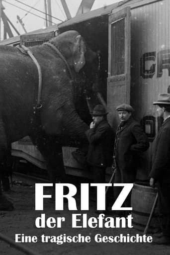 Fritz, der Elefant – Eine tragische Geschichte