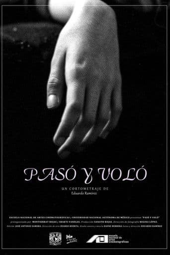 Pasó y voló