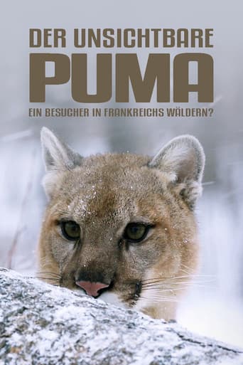 Der unsichtbare Puma - Ein Besucher in Frankreichs Wäldern?