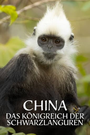 China's Secret Monkey Kingdom