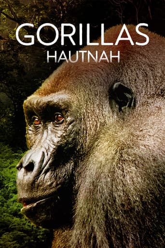 Gorillas hautnah