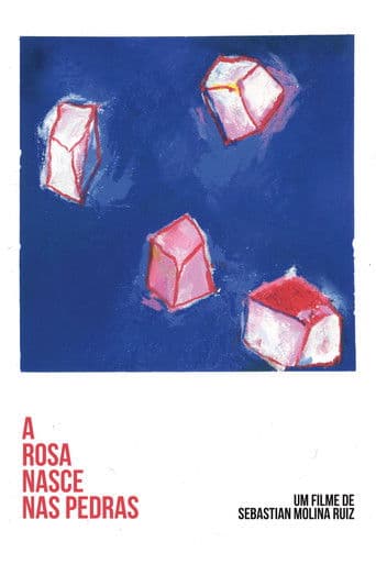 A Rosa Nasce Nas Pedras