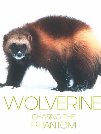 Wolverine - Chasing the Phantom