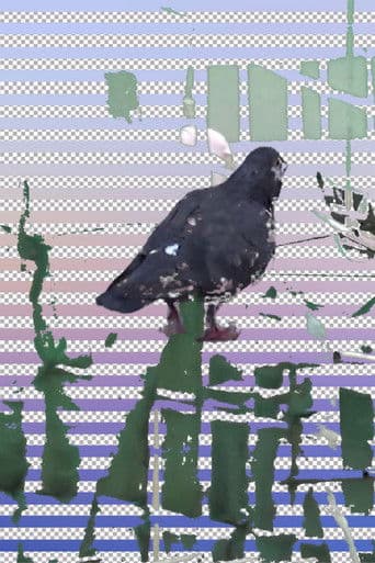 日 '''''''；''''''' 記