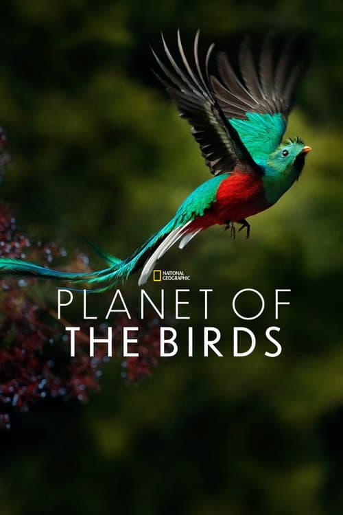 Planet der Vögel