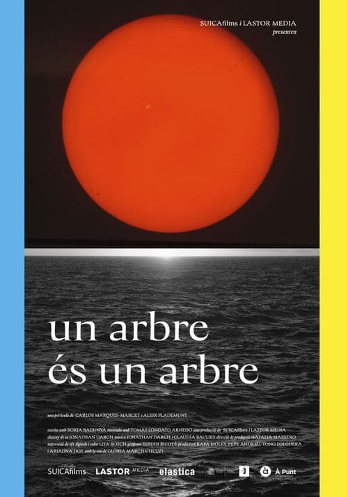 Un arbre és un arbre