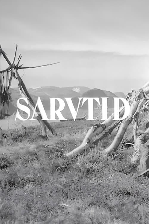 Sarvtid