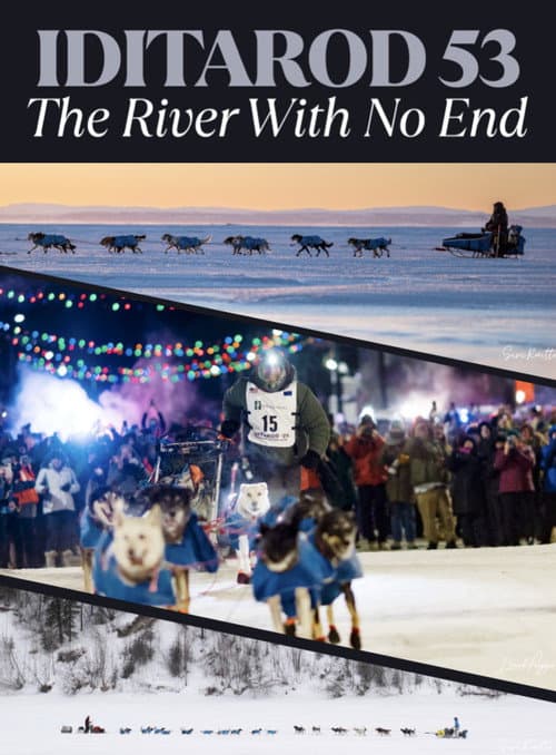 Iditarod 2025 - A River With No End
