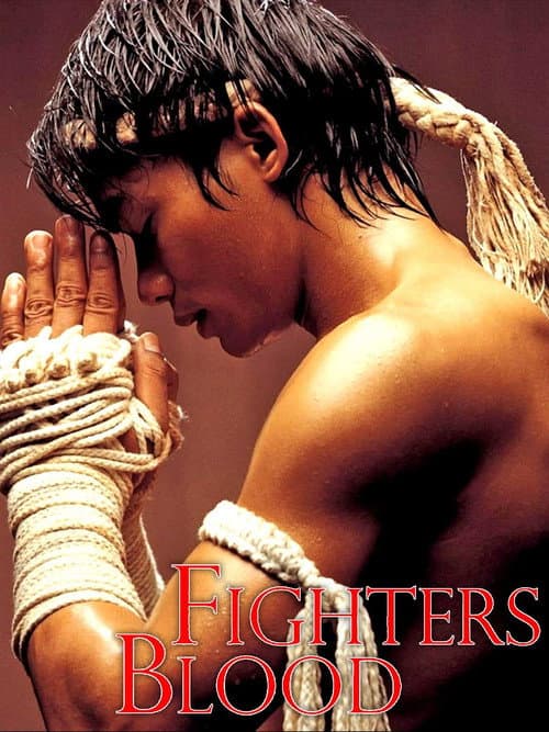 Fighters Blood