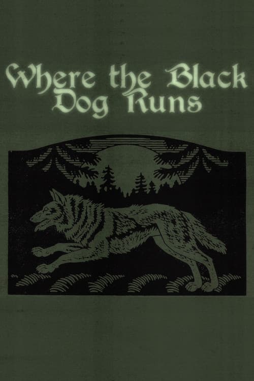Where the Black Dog Runs