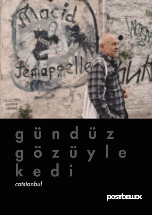 Gündüz Gözüyle Kedi