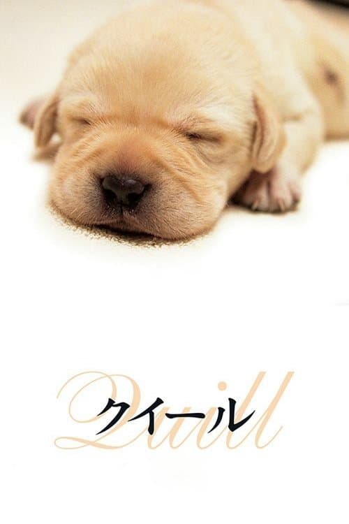 Quill - Ein Freund für´s Leben