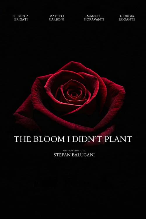 The Bloom I Didn't Plant