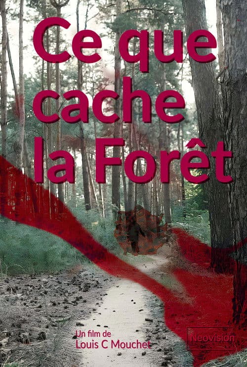 Ce que cache la Forêt
