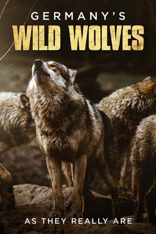 Familie Wolf - Gefährliche Nachbarn