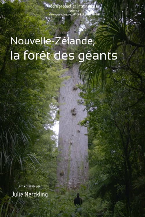 Nouvelle-Zélande, la forêt des géants