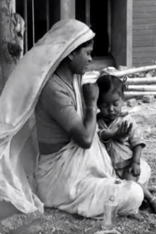 A Day with the Builders