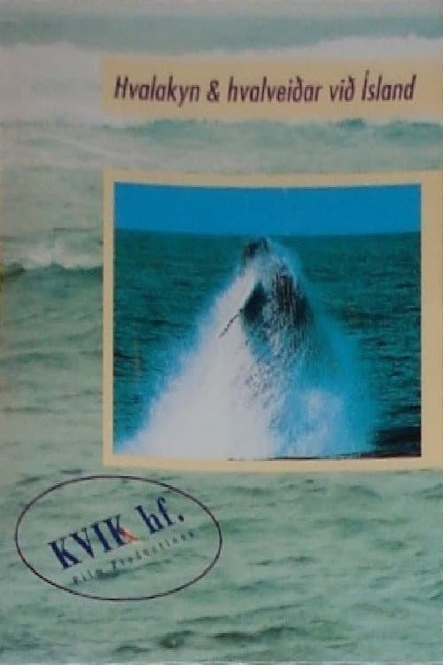 Hvalakyn og hvalveiðar við Ísland