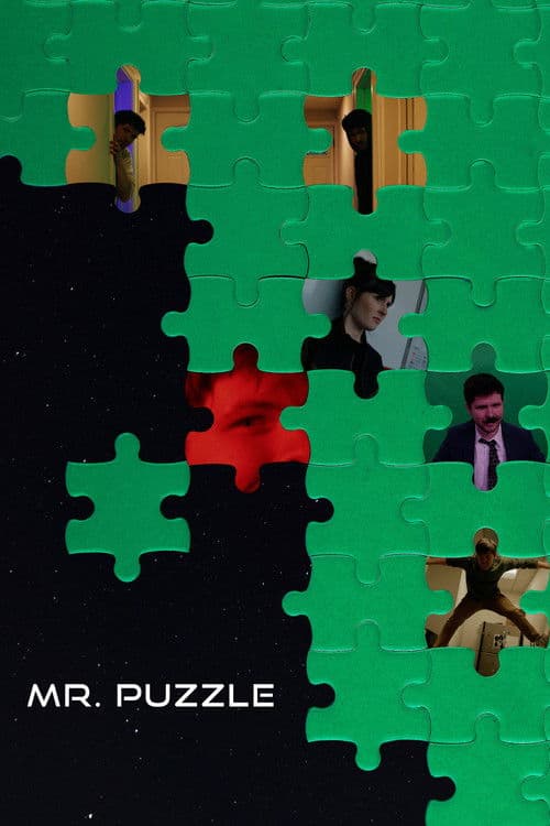 Mr. Puzzle