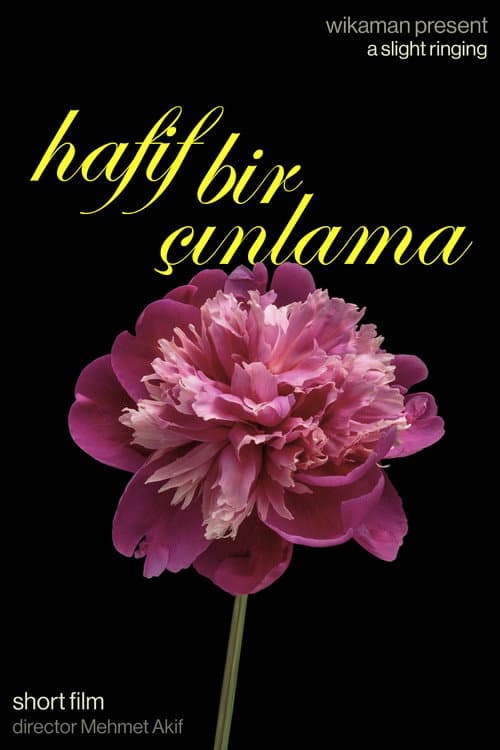 Hafif Bir Çınlama
