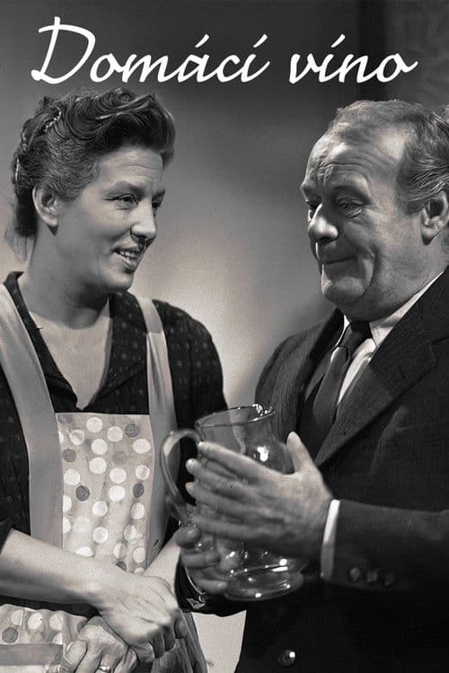 Domácí víno