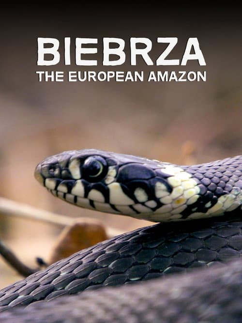 Biebrza. Między jawą a snem