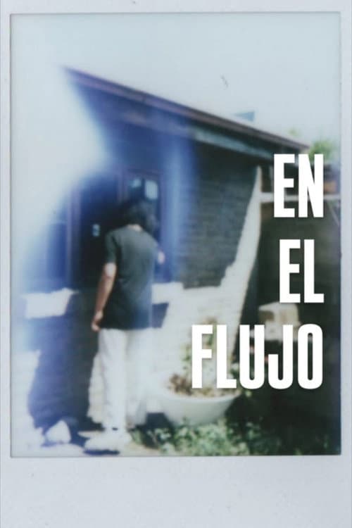 En el Flujo