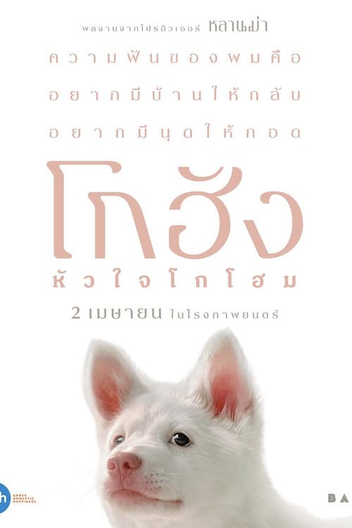 โกฮัง..หัวใจโกโฮม