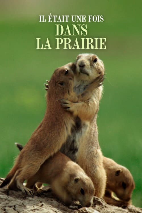 Il était une fois dans la prairie