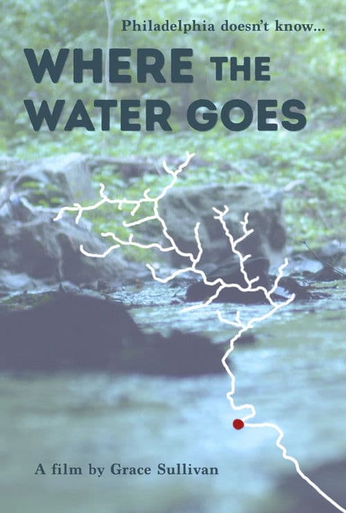Where the Water Goes