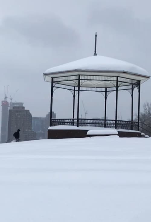 Después de una Tormenta de nieve