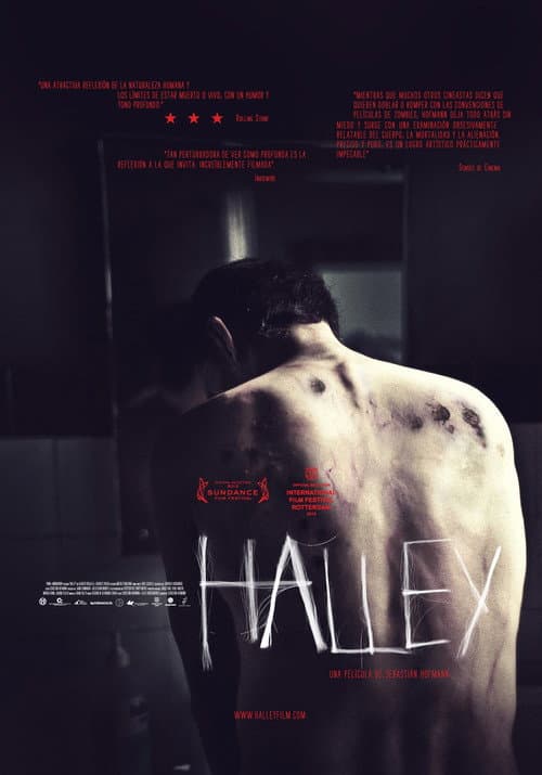 Halley - Das Leben eines Zombies