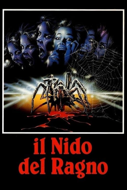 Spider Labyrinth - In den Fängen der Todestarantel
