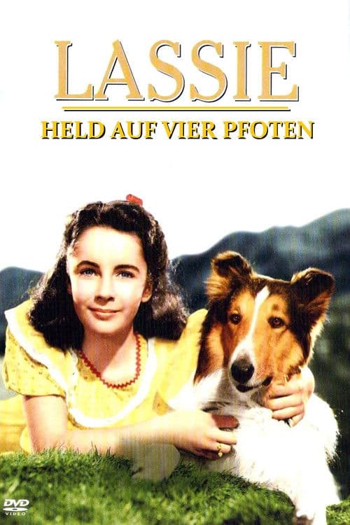 Lassie - Held auf vier Pfoten