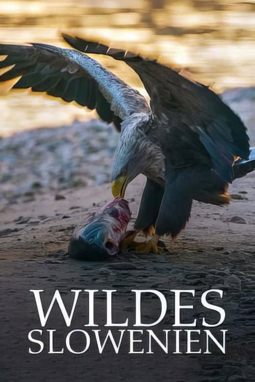 Wildes Slowenien