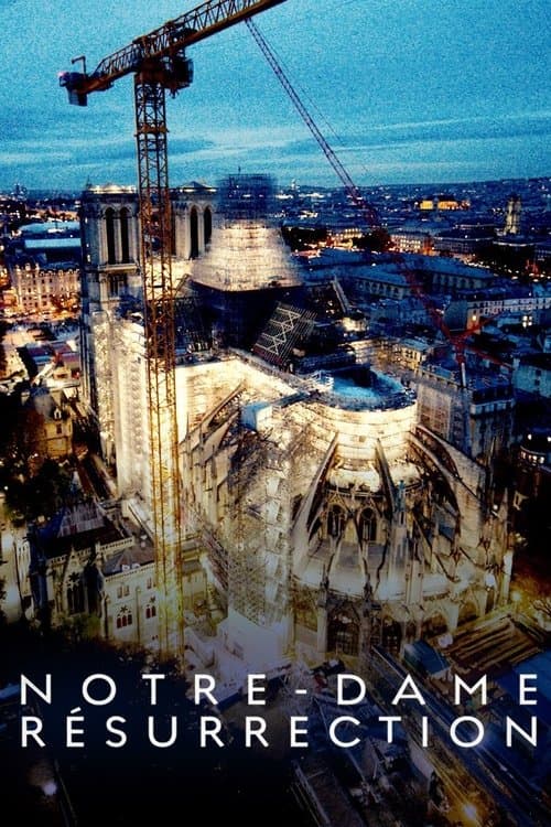 Notre-Dame Reborn