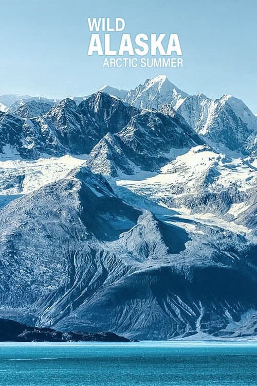 Wildes Alaska: Sommer in der Arktis