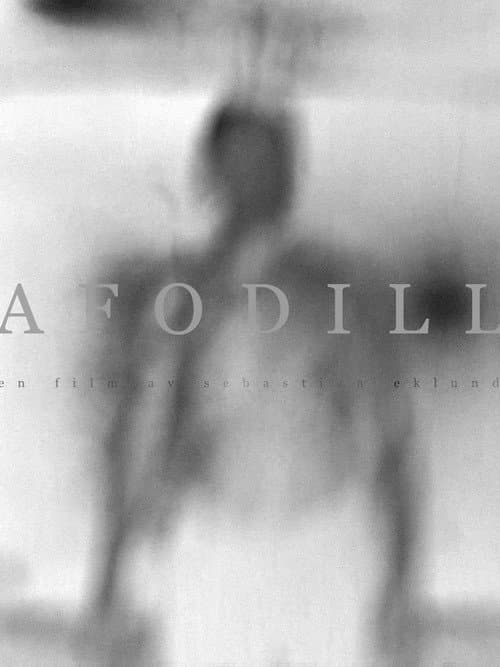Afodill