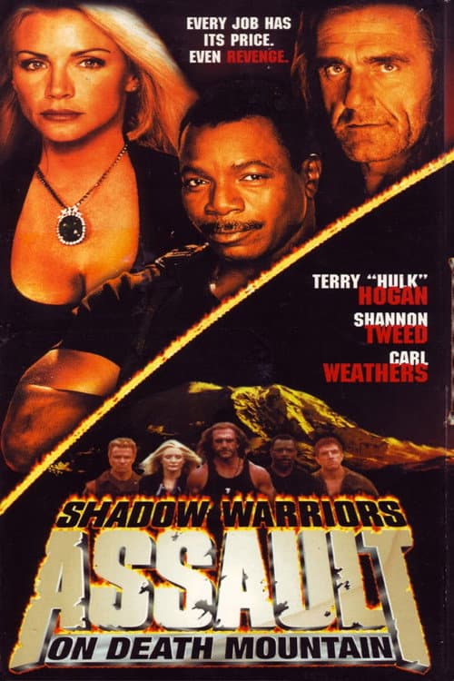 Shadow Warriors II - Rache um jeden Preis
