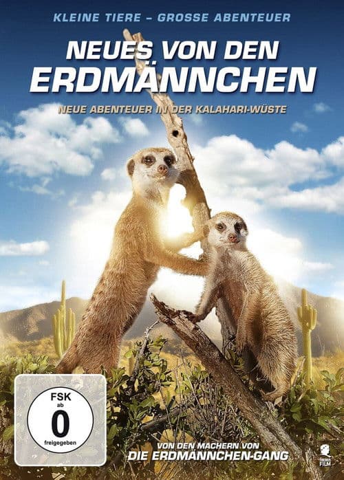 Neues von den Erdmännchen