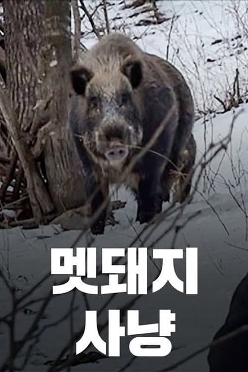 멧돼지 사냥