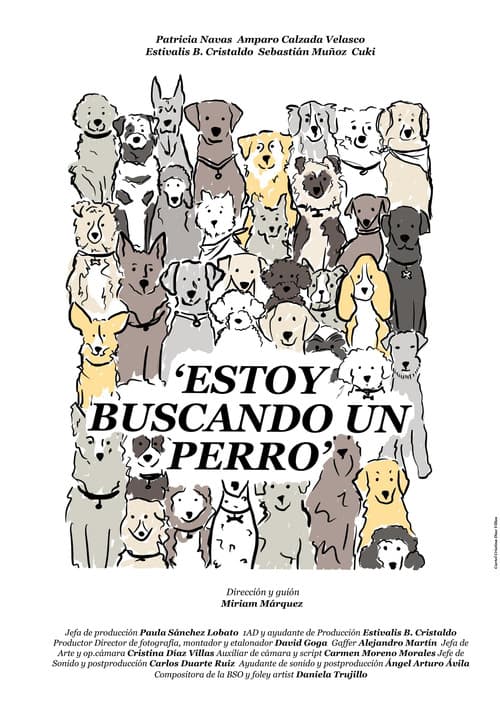 Estoy buscando un perro