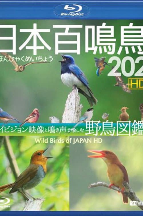 Wild Birds of Japan