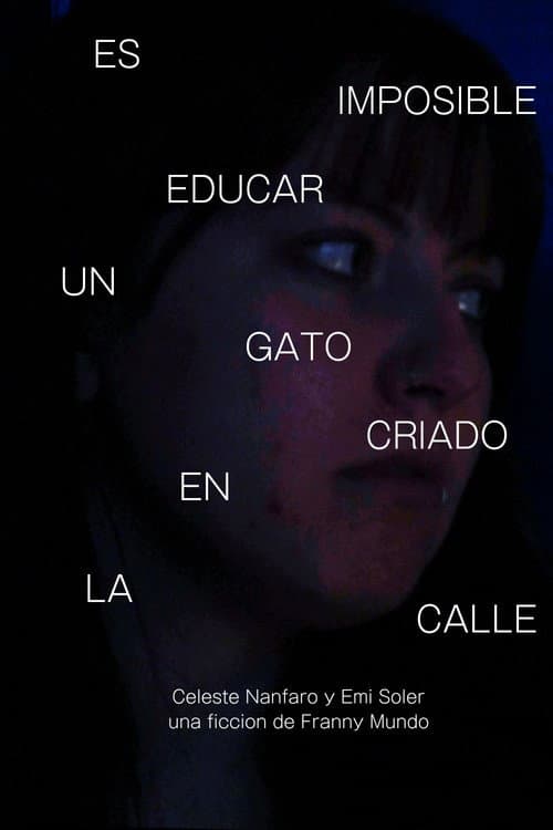Es Imposible Educar Un Gato Criado en la Calle