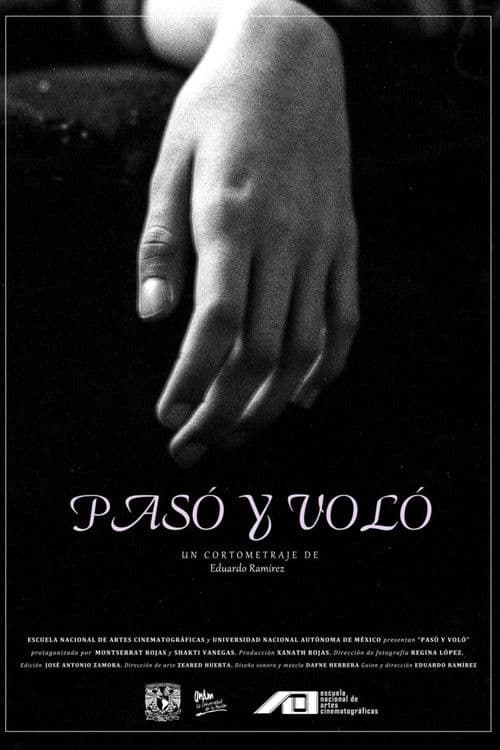 Pasó y voló