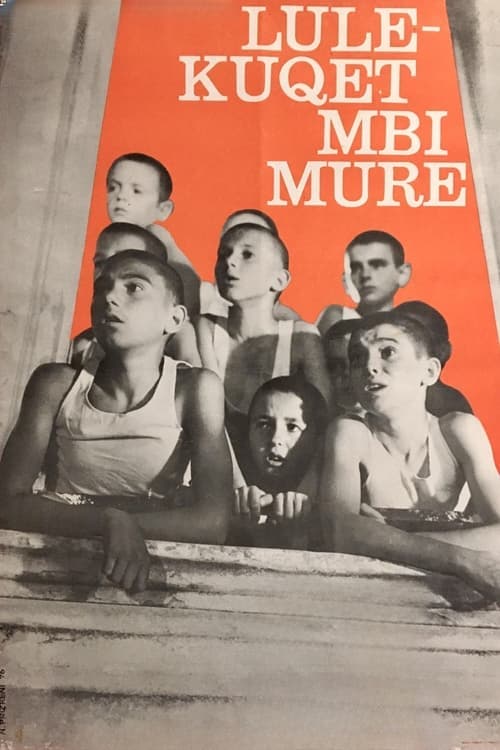 Rote Mohnblumen an den Wänden