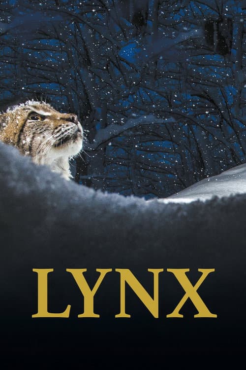 Luchs