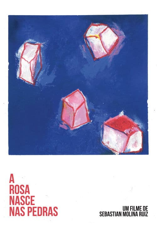 A Rosa Nasce Nas Pedras