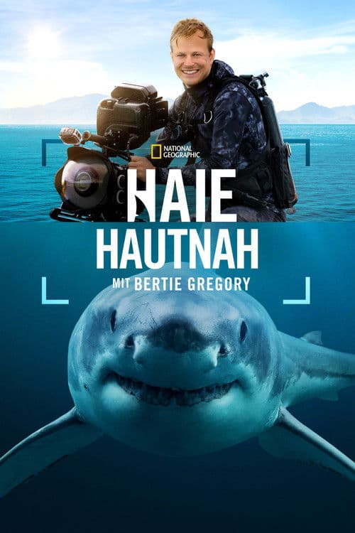 Haie hautnah mit Bertie Gregory