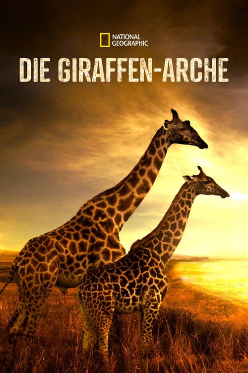 Die Giraffen-Arche